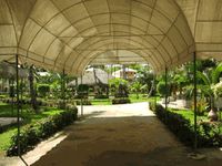 garden of the Apart-Hotel PARAISO TROPICAL GARDEN - Las Terrenas - Dominican Republic